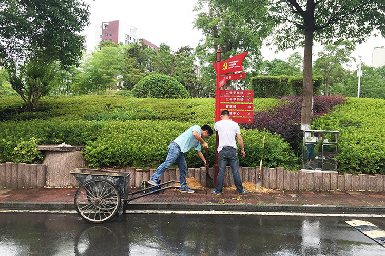 �Lɳ��(d��o)���(bi��o)�R